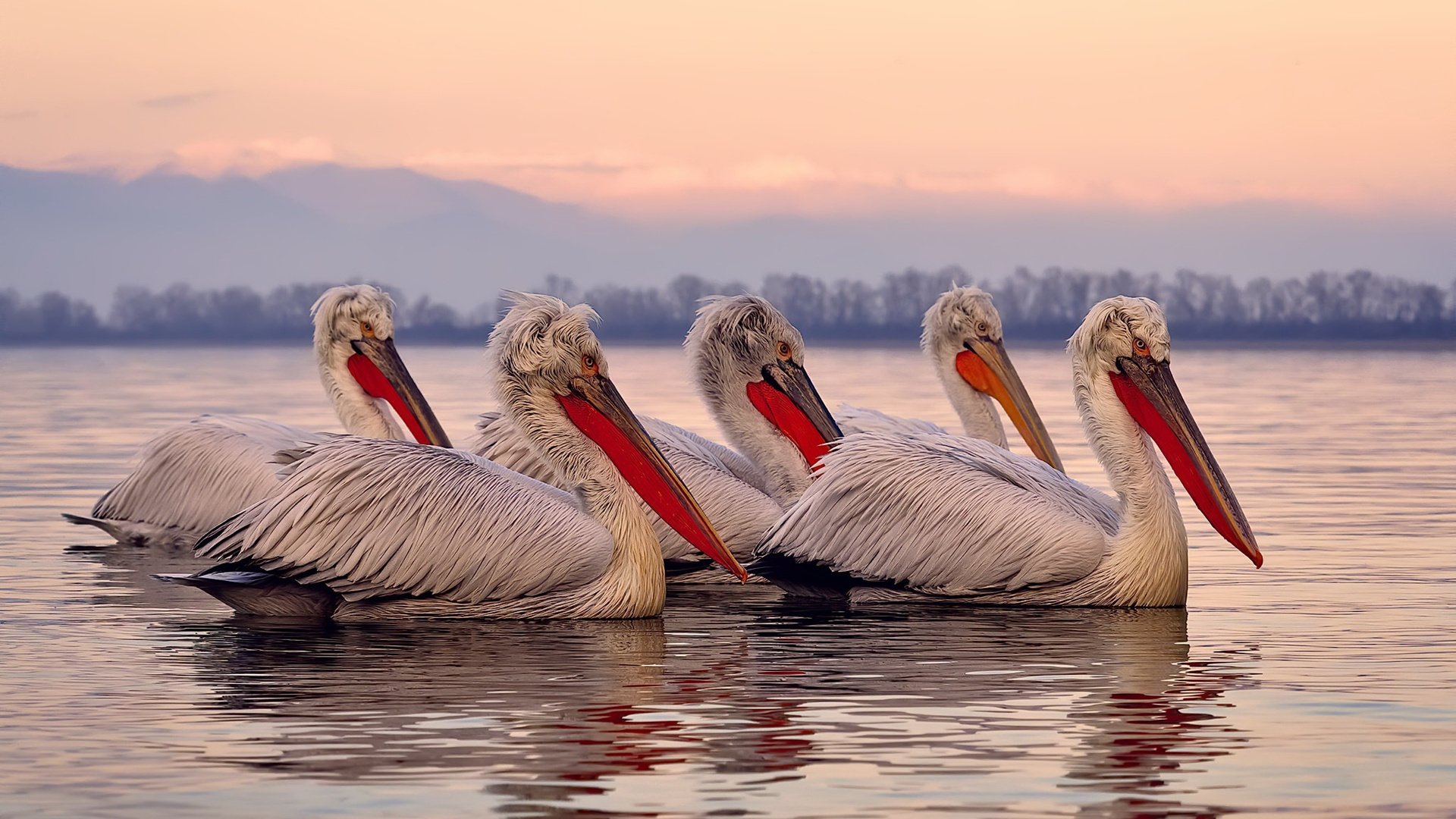 熊猫直播-_快船外线手感火热，战胜劲敌_，快船的内线