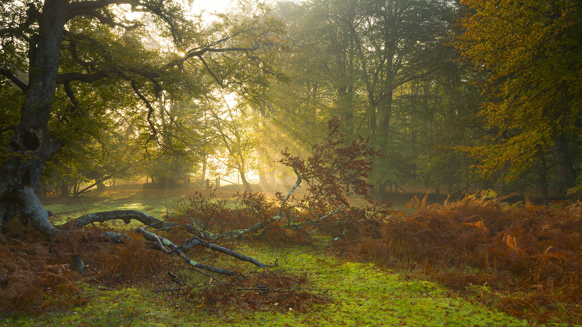 _登山徒步赛事：挑战天路，追逐自由_，国内经典徒步登山路线