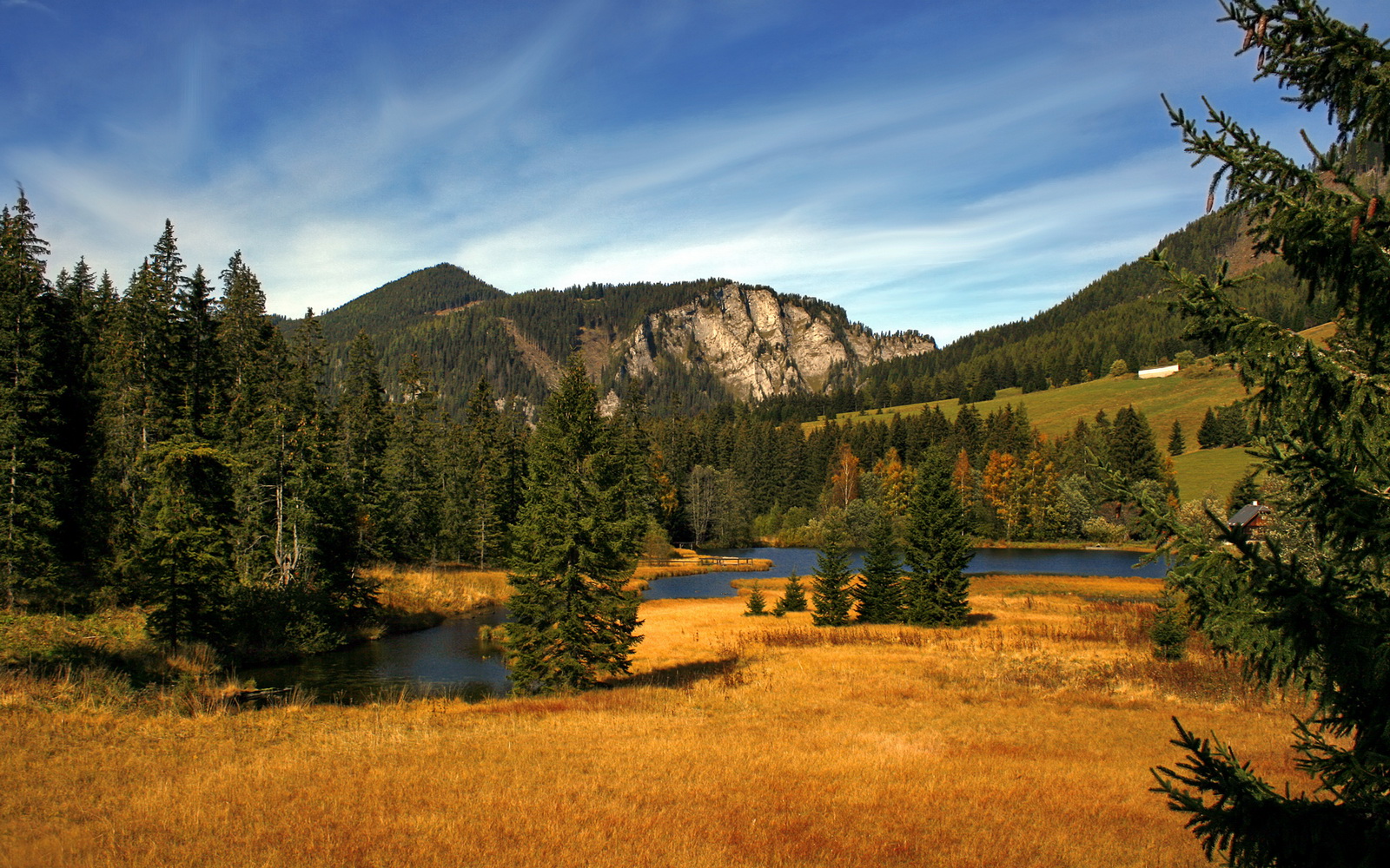 “虚拟场景与真实比赛无缝植入:未来观赛体验的终极升级”,虚拟现实场景制作