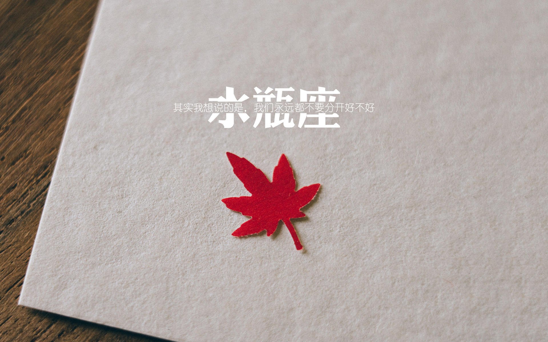 熊猫体育APP-《Hope：年轻的力量，闪耀在国际舞台》