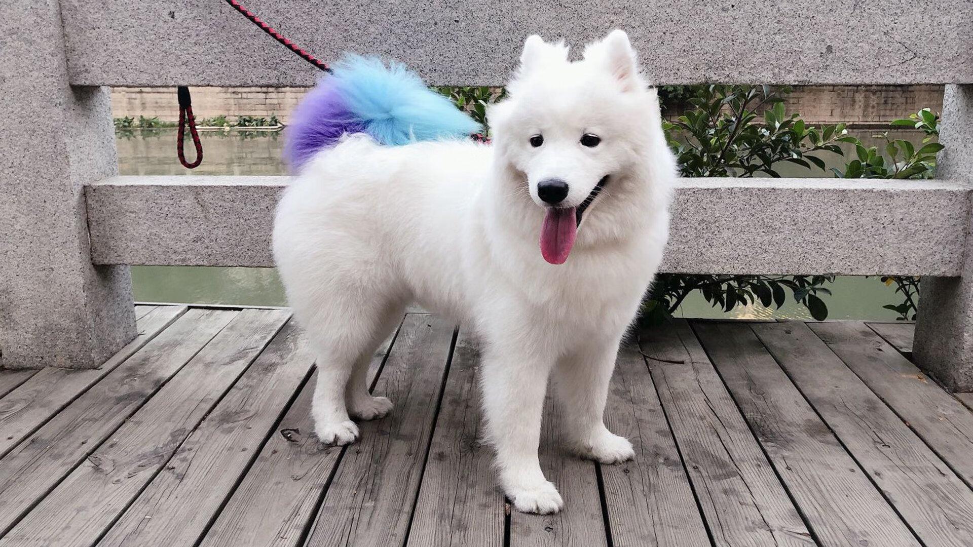 传奇教练的秘密:他们的战术体系如何助力球队夺冠?,传奇主教练