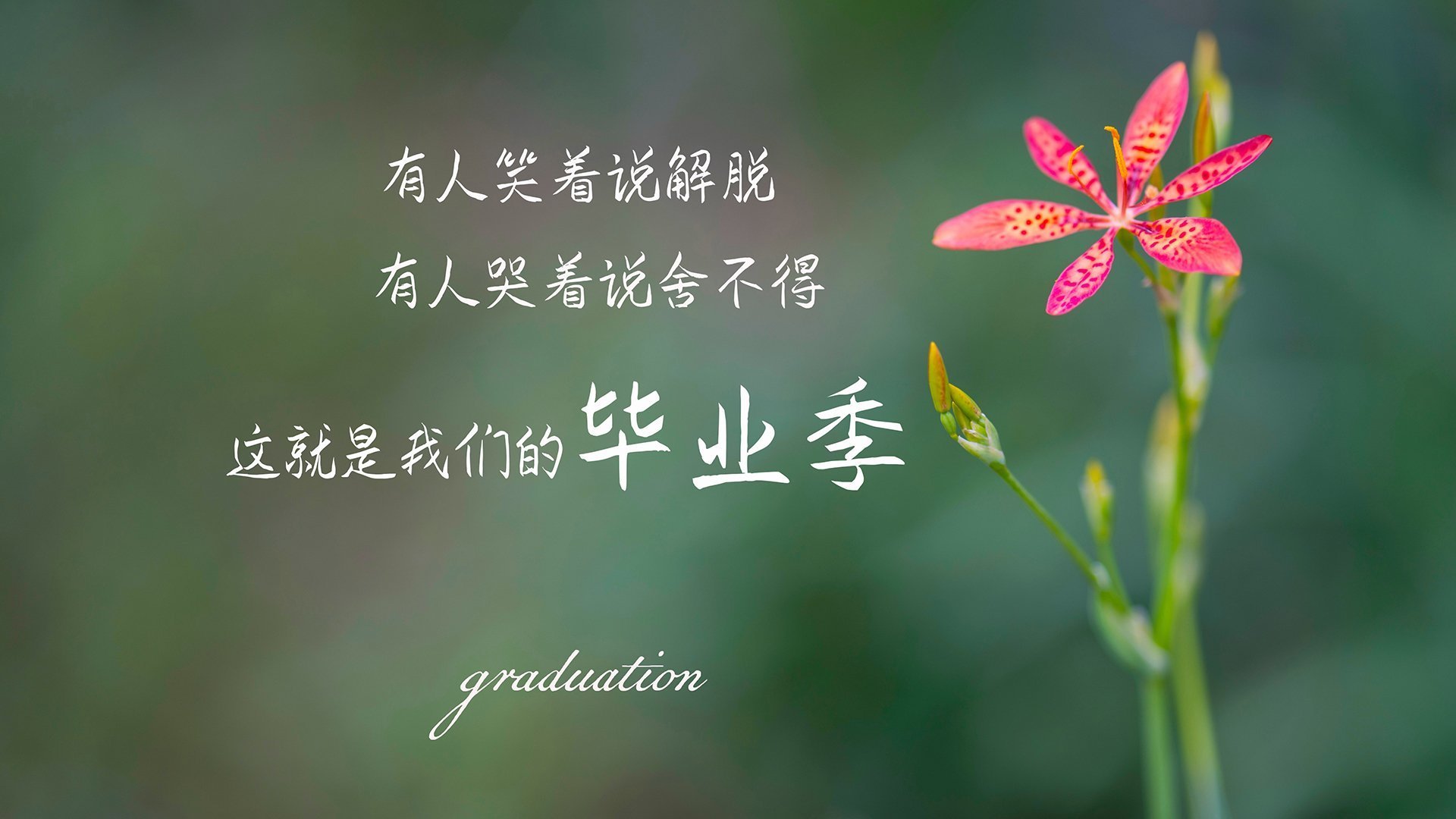 熊猫体育-全国青少年游泳马拉松，水中青春自由奔跑，2021年全国游泳马拉松冠军赛