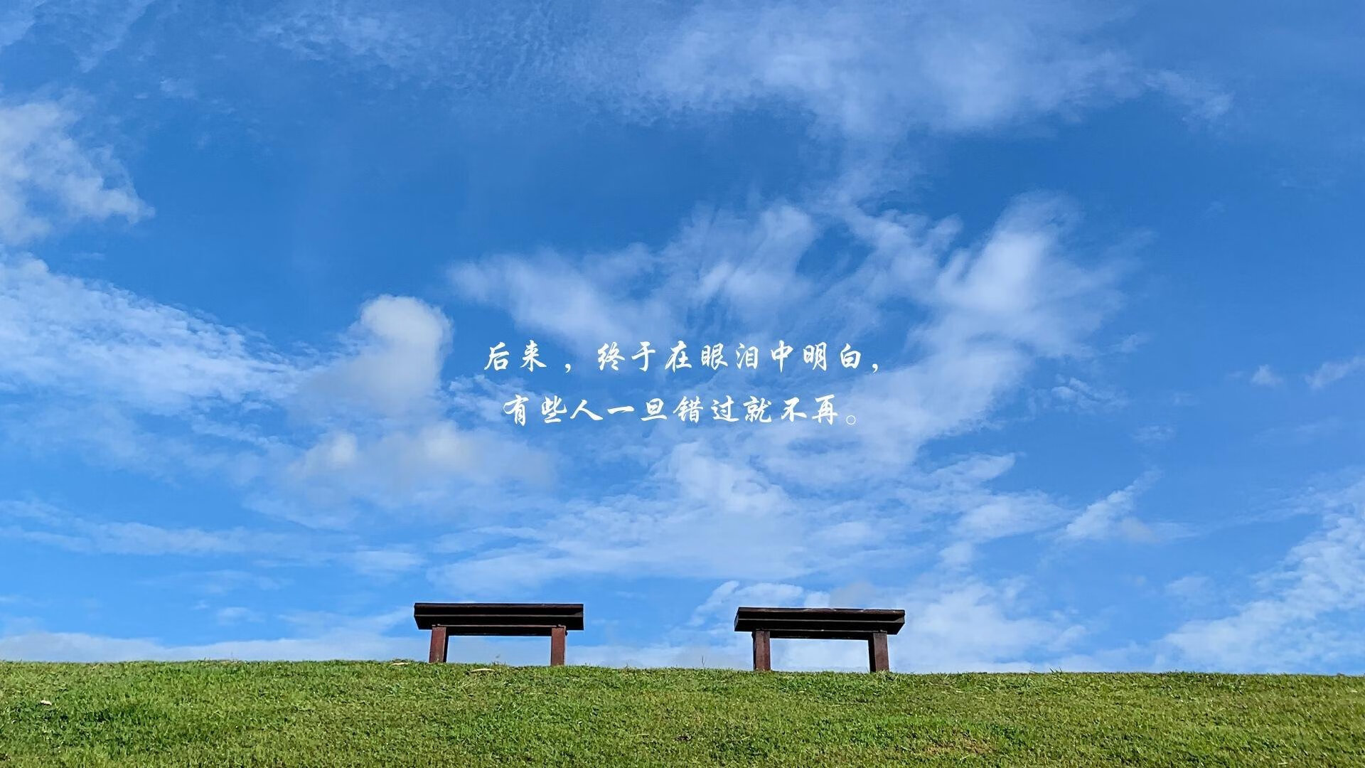 熊猫体育app下载-史上最扣人心弦的“冠军争夺战”伟大回忆，冠军争夺赛