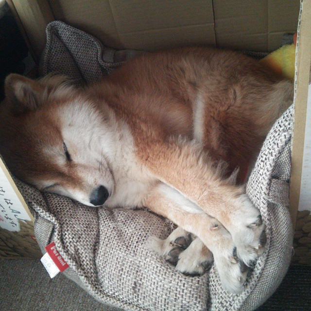 台球装备升级,比赛科技感十足,台球高科技