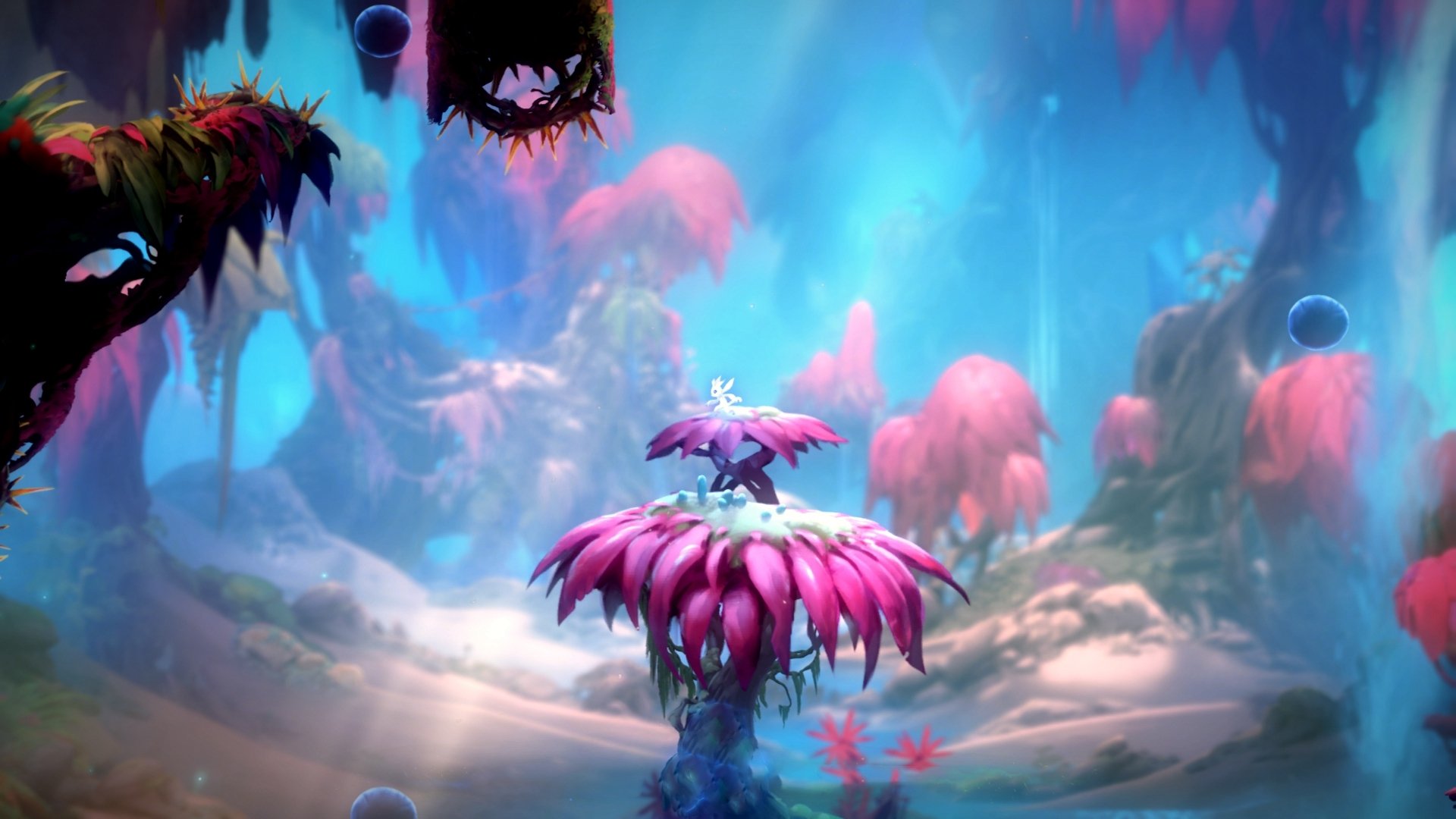 变革之路:球队管理者的注重战术调整,球队管理方案