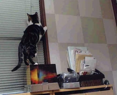 城市挑战极限跑,夜色之中尽情释放热情,城市极限跑酷游戏