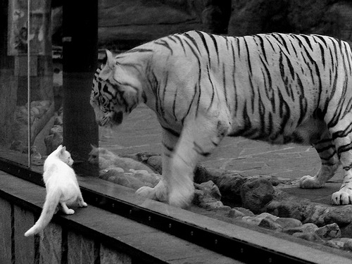 熊猫体育在线-库里助力勇士五冠王：开启“水花兄弟”黄金时代！，勇士库里经典比赛