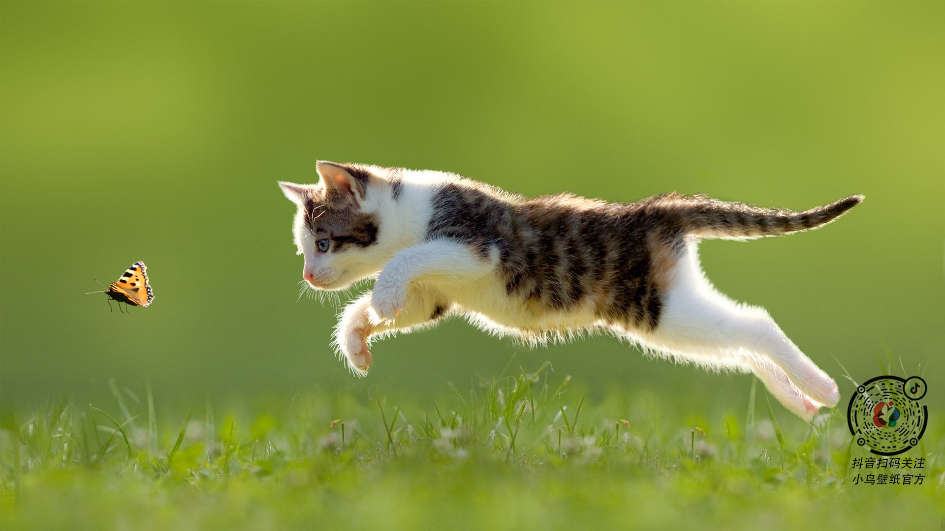 意甲赛后评论,球员详述战术调整对比赛节奏的影响及心理感受,意甲进球效率