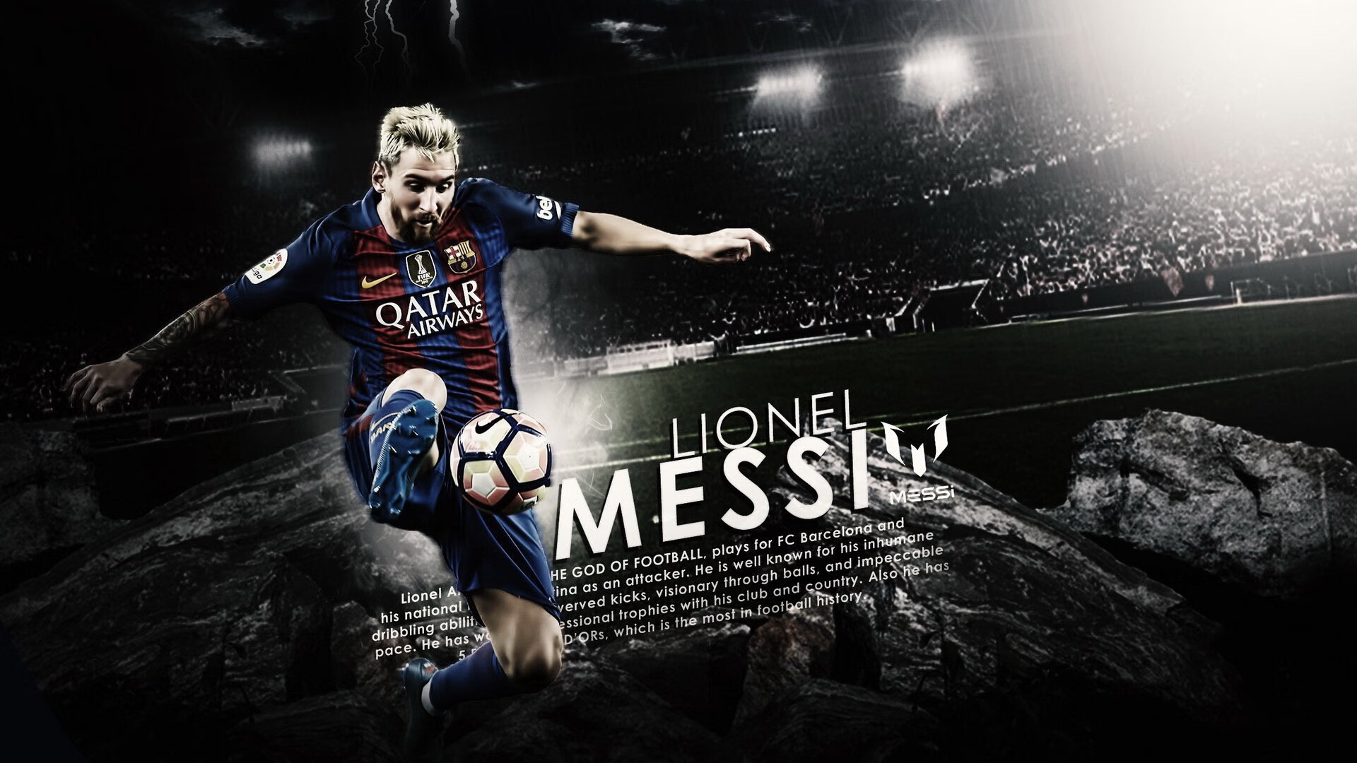 最“萌”的比赛：球迷与动物的趣味互动，动物踢球的游戏