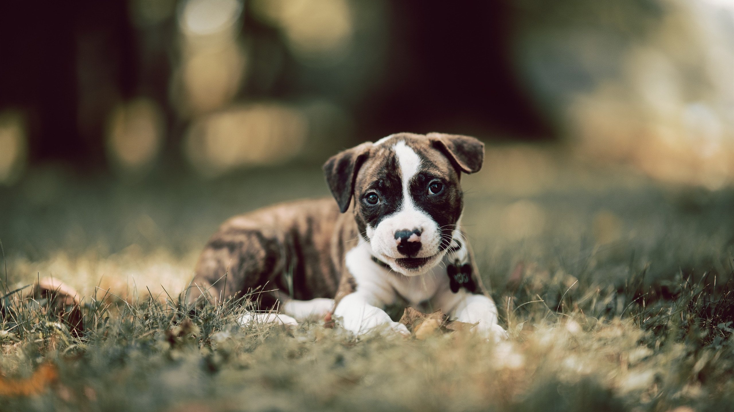 青少年“绿色运动鞋”设计大赛在上海盛大举行,倡导环保出行理念