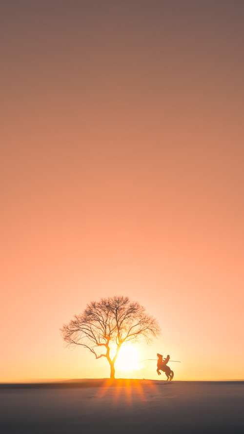 熊猫体育网页版-山东泰山新赛季训练营开启，山东泰山队2021第二阶段赛程