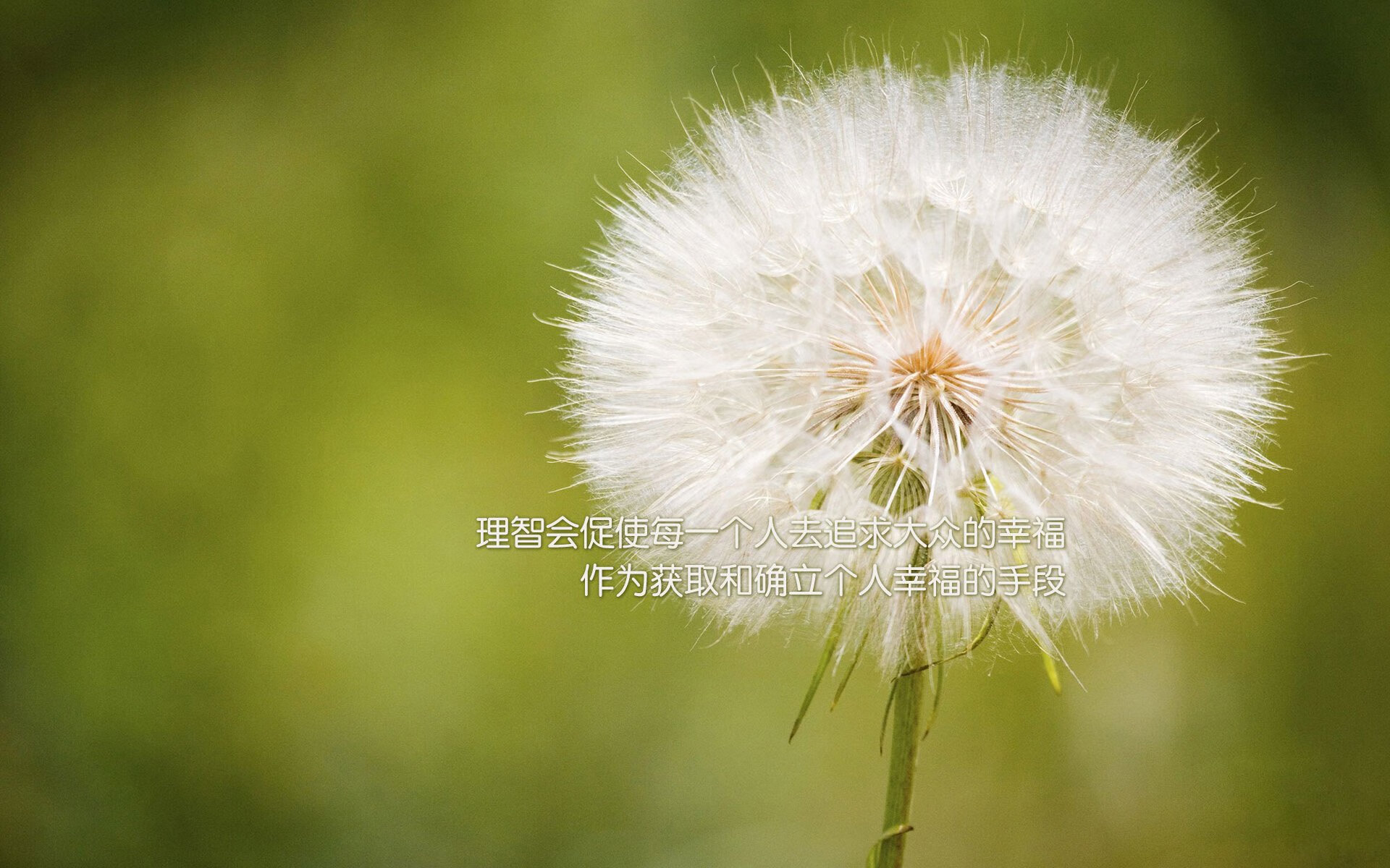 江苏苏宁迎来成都兴城,胜利将为哪一方倾注祝福?,苏宁成都门店地址列表