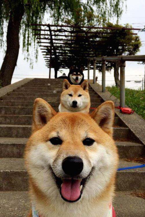 石油人关键时刻发挥冷静,作为石油人