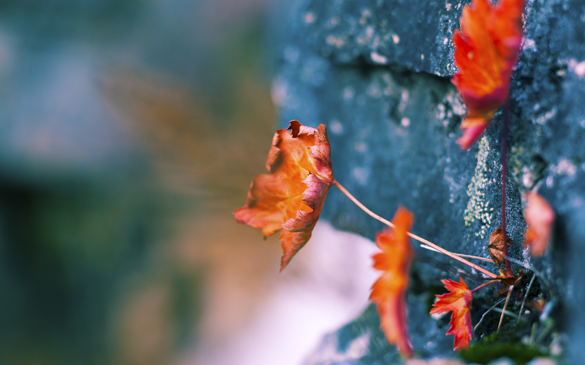 NBA球队球员化学反应,nbalive08化学反应