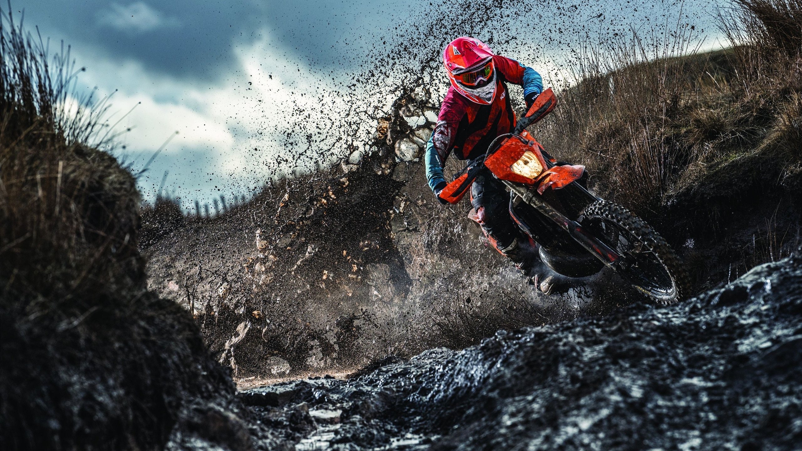 运动干预在中学生抗压能力训练中的作用研究,运动干预方案模板