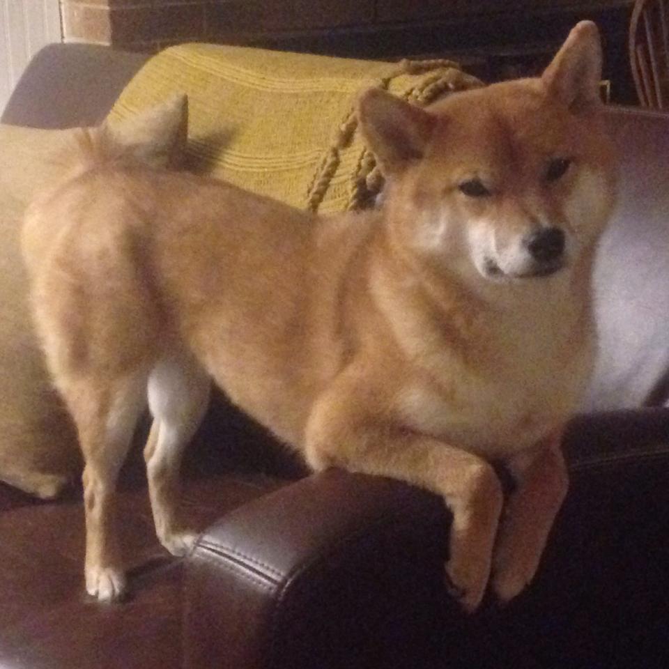 熊猫体育全站-世界杯预选赛中国女足迎战 球迷热情空前高涨，2021年中国女足世界杯预选赛结果