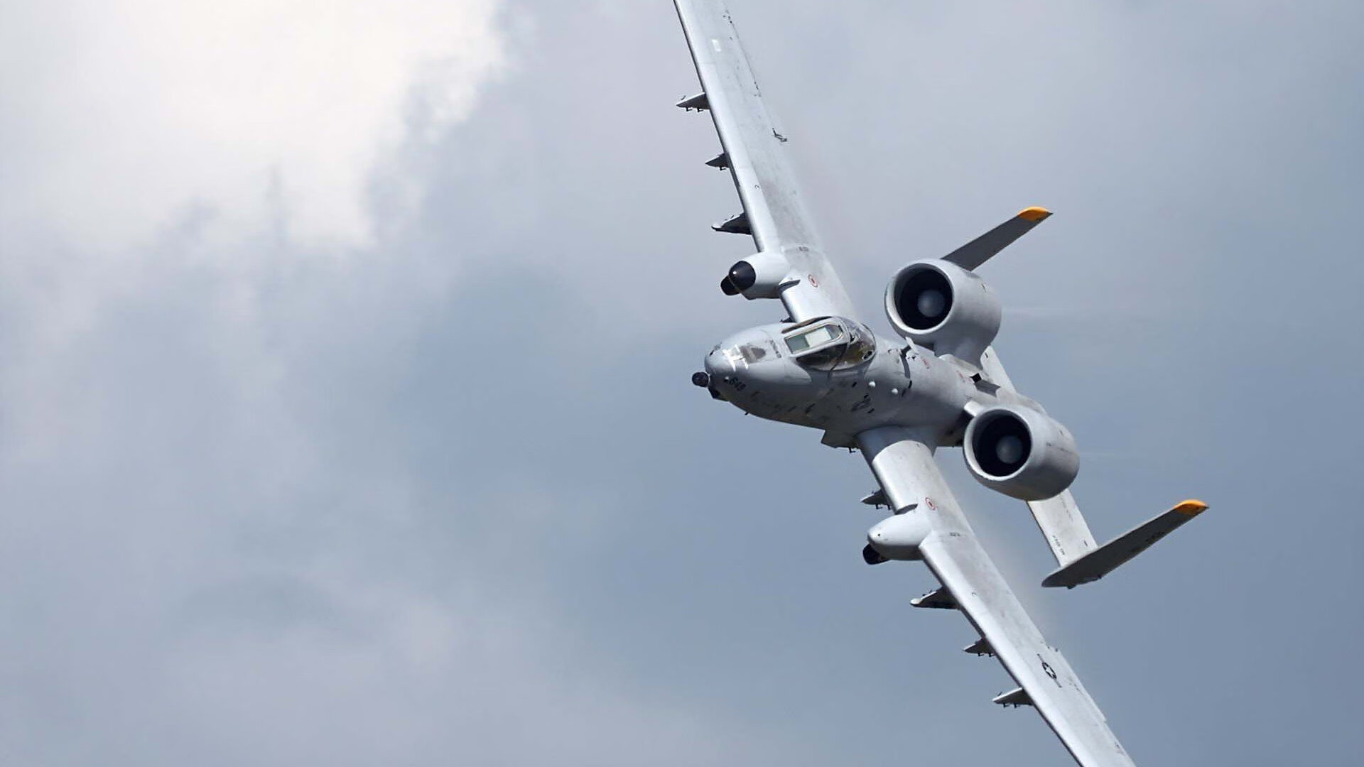 瑞典队在2024年乒乓世界杯的成功之路,瑞典乒乓球联赛