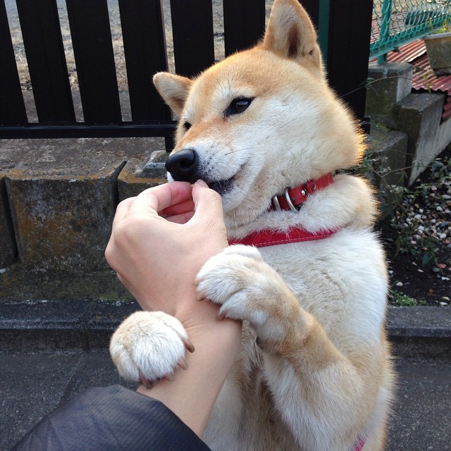 欧洲杯顶级战术:攻防转换的精彩瞬间,欧洲杯如何防冷门