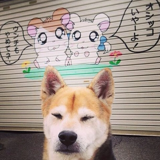 熊猫体育平台-法甲冠军之争：场场精彩，胜负刹那间变幻，法甲冠军次数排名最新